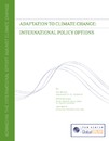 Adaptation to Climate Change: International Policy Options