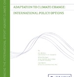 Adaptation to Climate Change: International Policy Options image