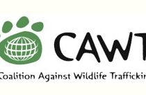 Coalition Against Wildlife Trafficking image