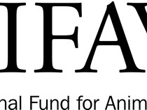 International Fund for Animal Welfare image